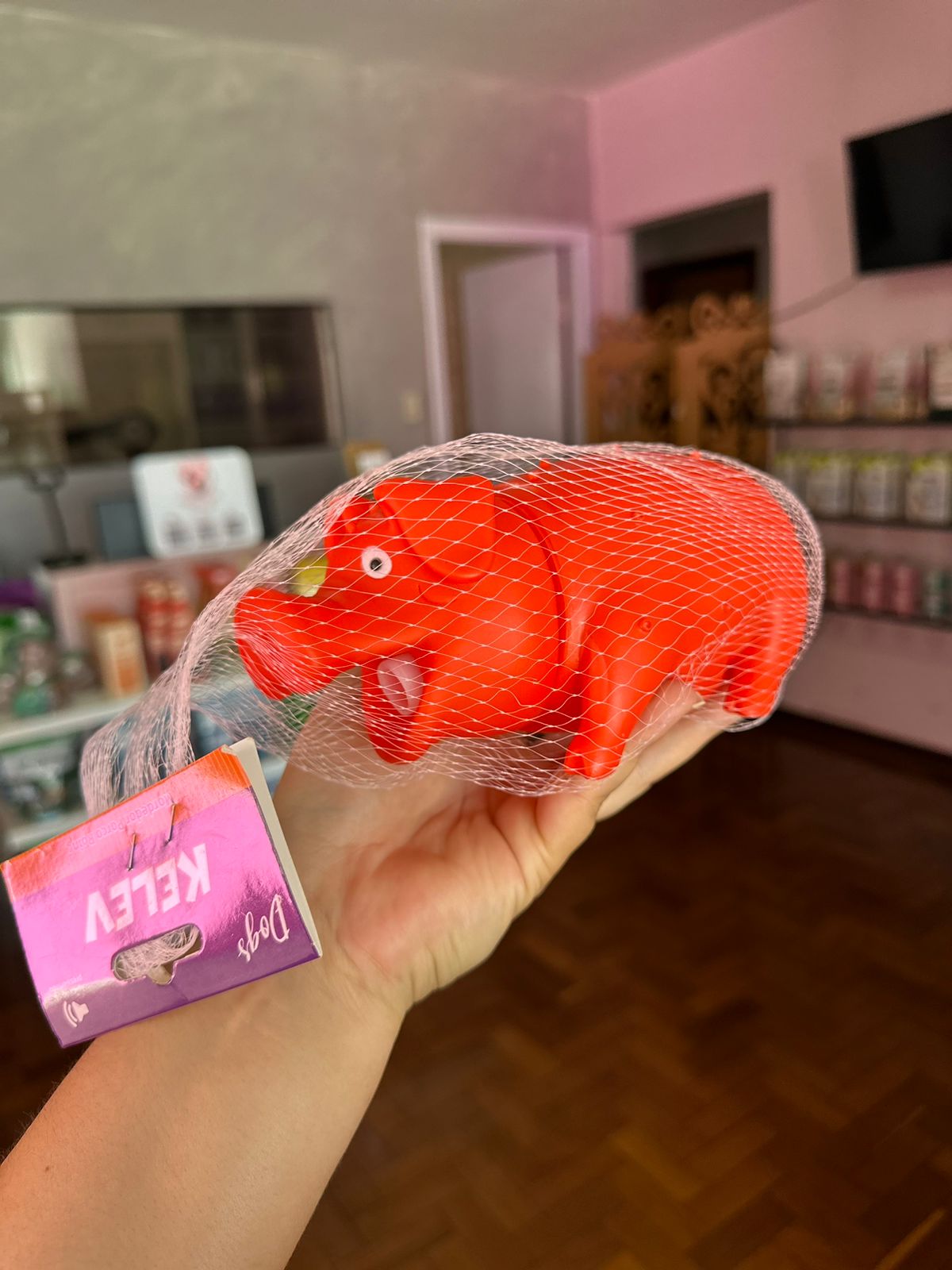 Porco Roinc para Pet