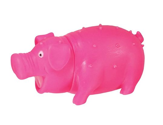 Porco Roinc para Pet - Imagem 2