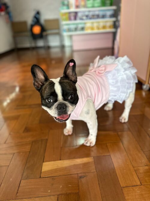 Vestido Candy - Oh my dog - Image 3