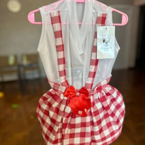 Vestido Xadrez Vermelho e Branco