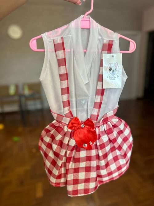 Vestido Xadrez Vermelho e Branco