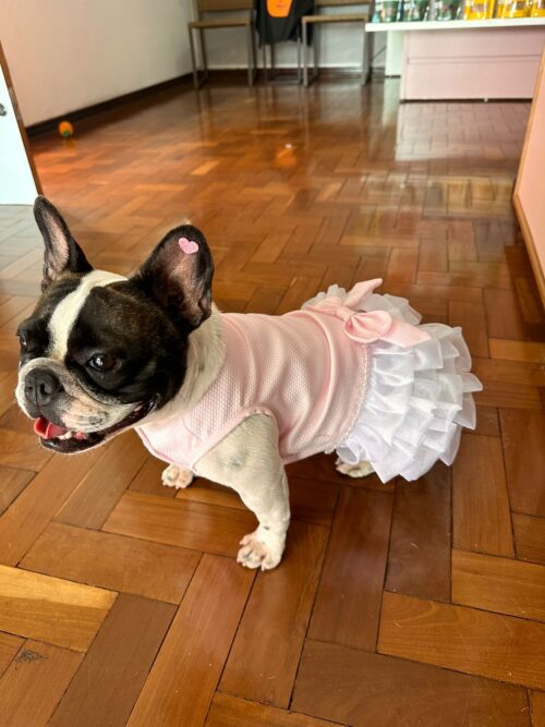 Vestido Candy - Oh my dog - Image 4