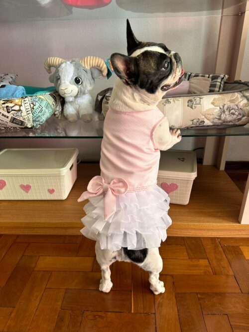 Vestido Candy - Oh my dog