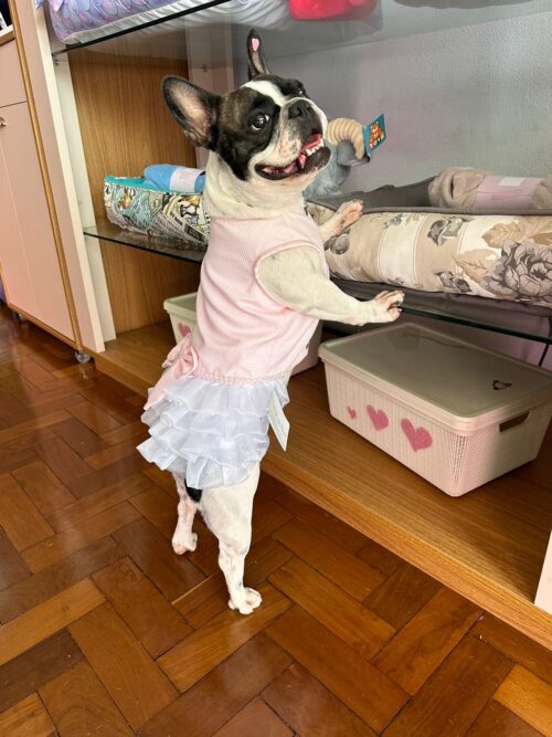 Vestido Candy - Oh my dog - Image 2