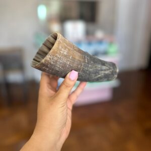 Meio Chifre Cortado sem polimento - Unitário