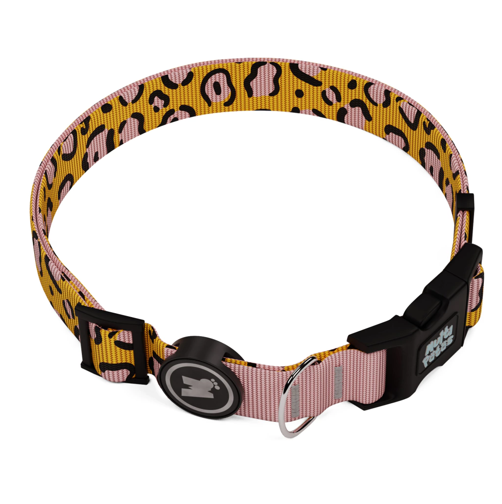 Coleira Premium- Multipatas Com QR Code - Imagem 7